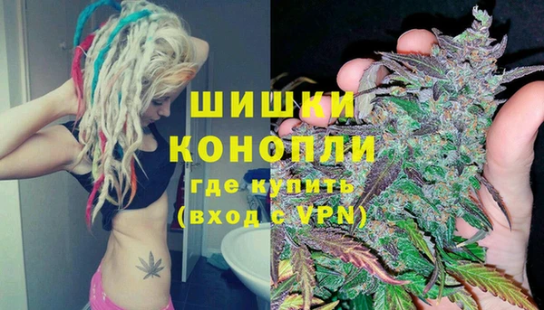 шишки Кинешма