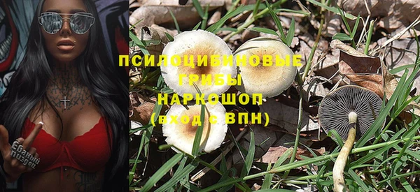 шишки Кинешма
